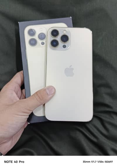 Apple iPhone 13 Pro Max