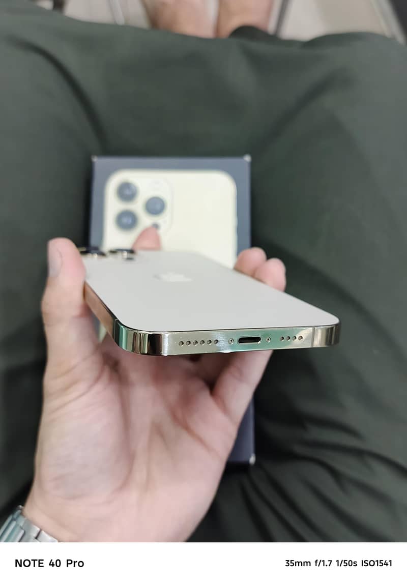 Apple iPhone 13 Pro Max 1