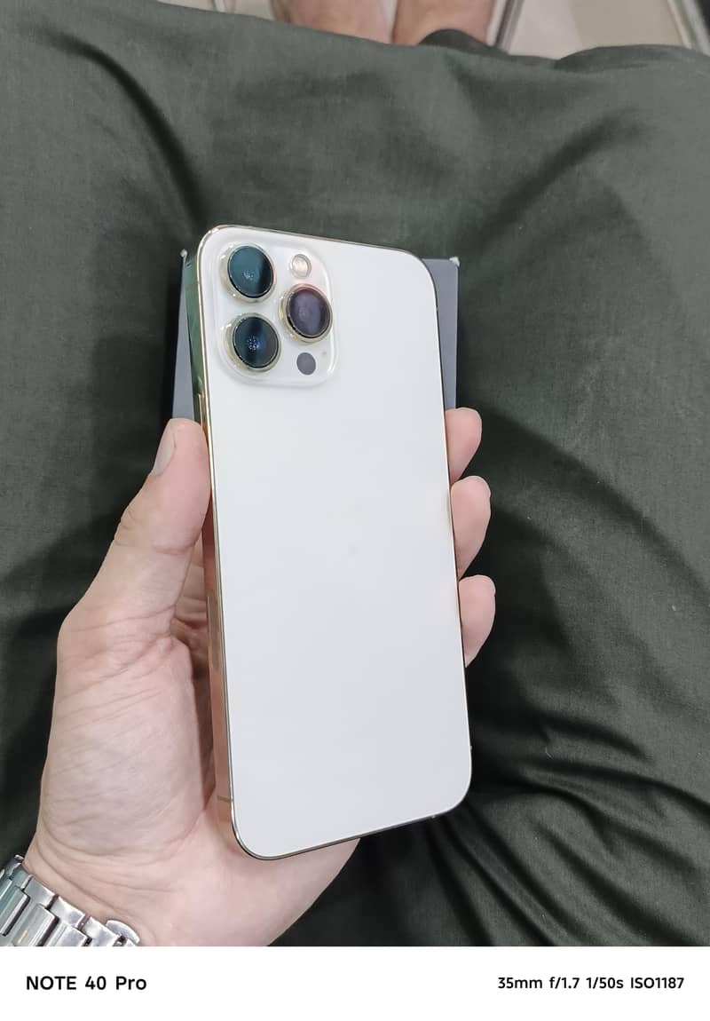 Apple iPhone 13 Pro Max 2