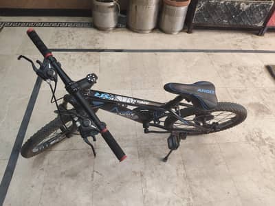 cycle