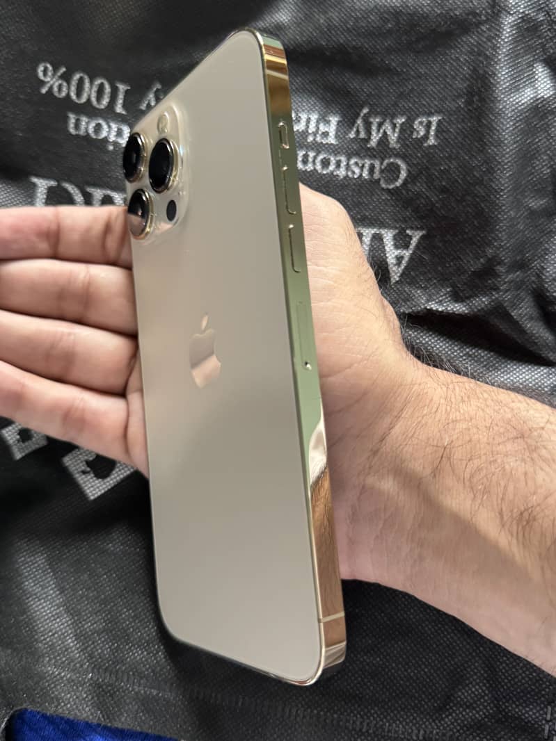 Apple iPhone 13 Pro Max 1