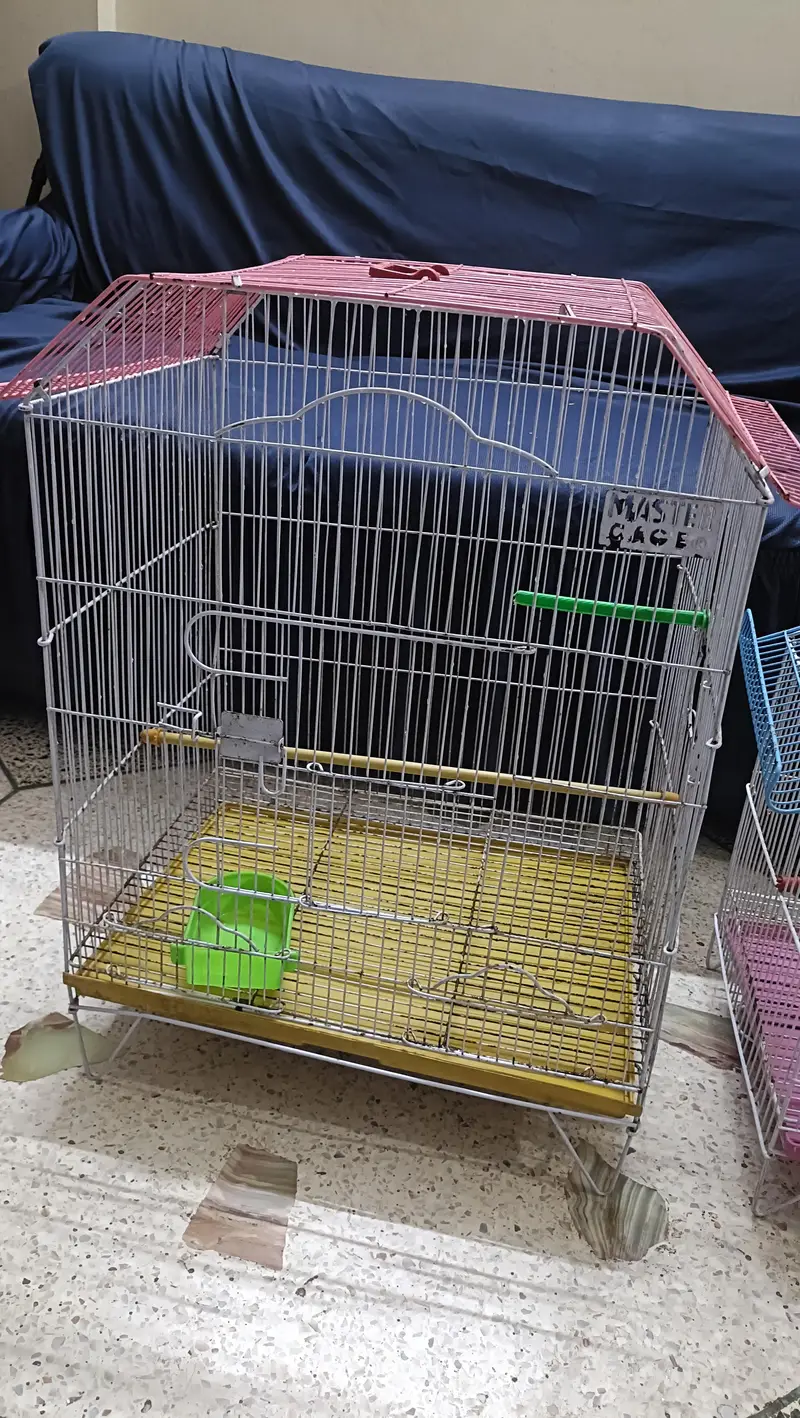 birds cages — photo 2