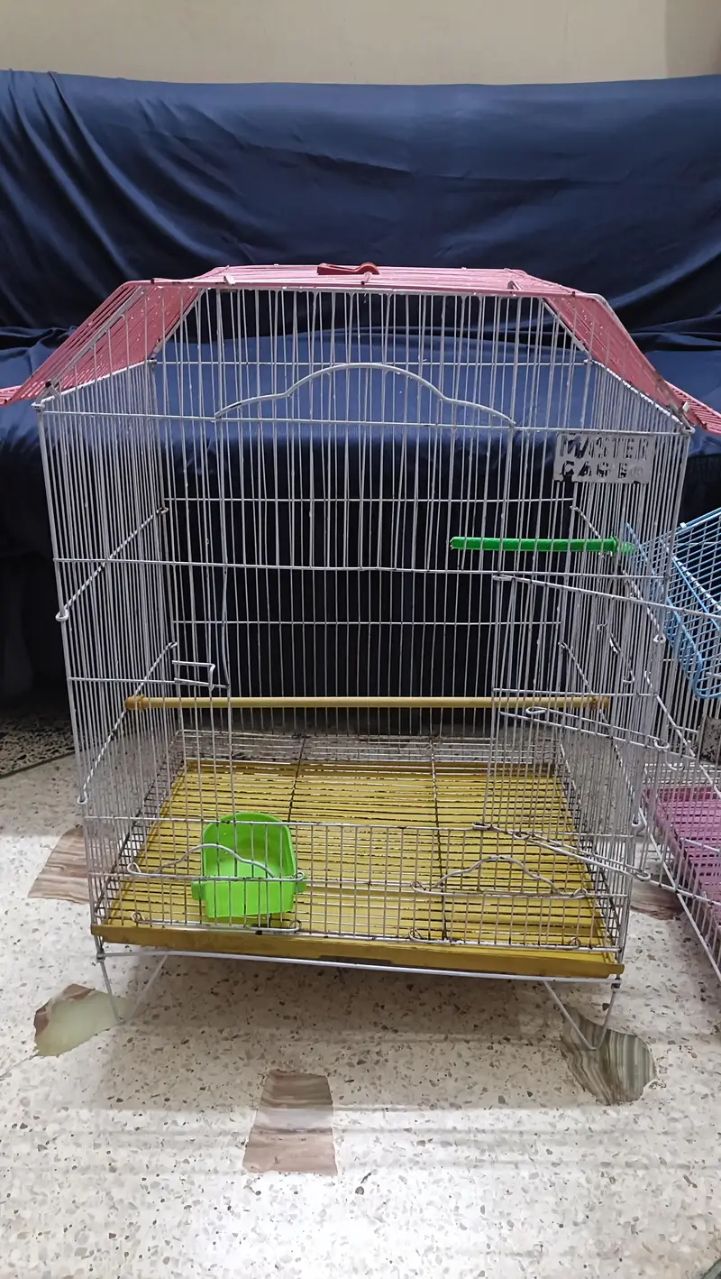 birds cages — photo 3