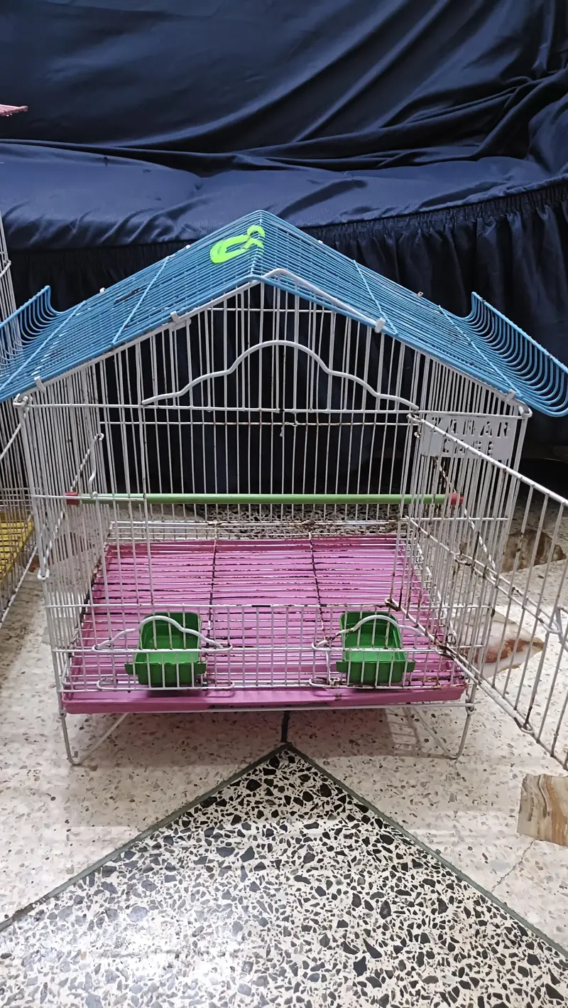 birds cages — photo 4