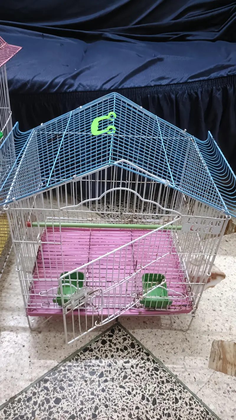 birds cages — photo 5