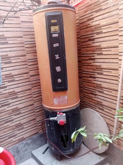 geyser for sale