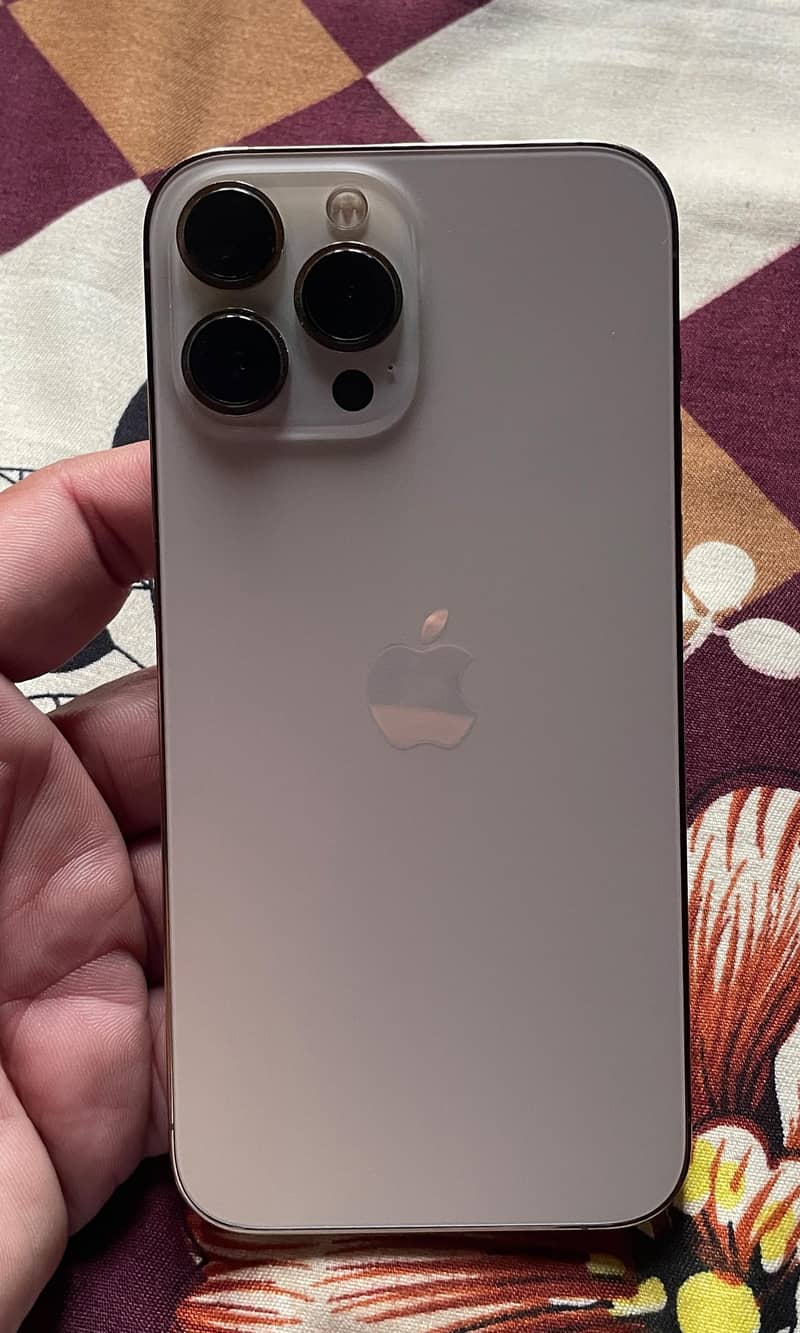 Apple iPhone 13 Pro Max 1