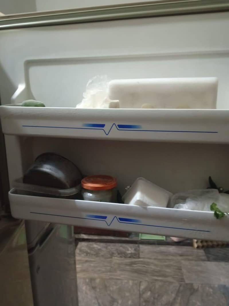 frige 1