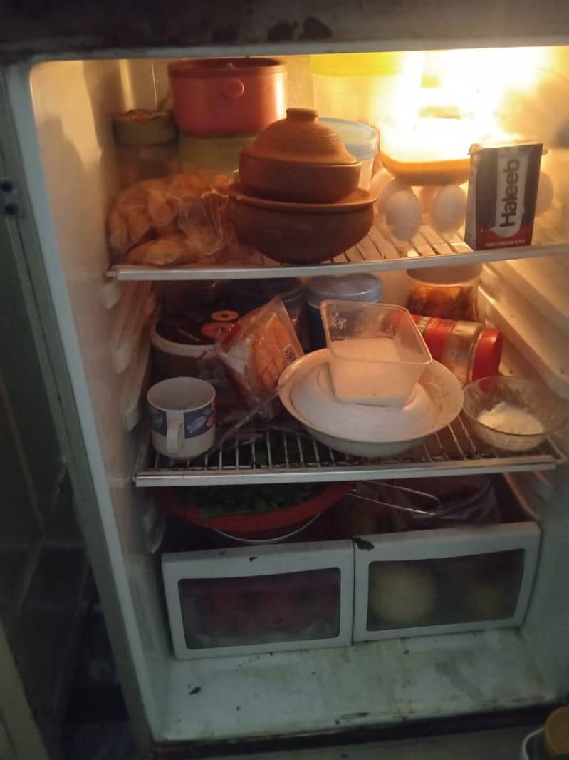 frige 2