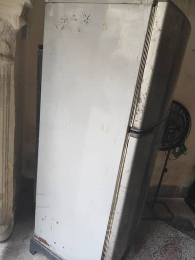 Urgent sale pel fridge