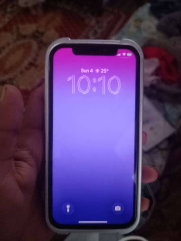 Apple iPhone 12 1