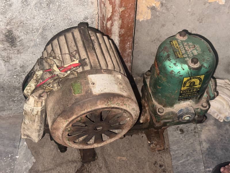 Donkey Motor pump 1
