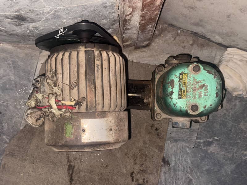 Donkey Motor pump 2