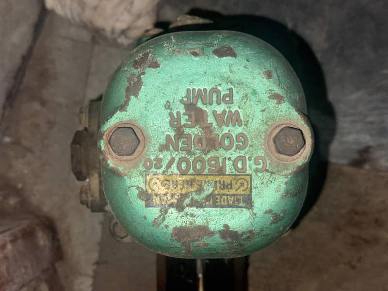 Donkey Motor pump 3