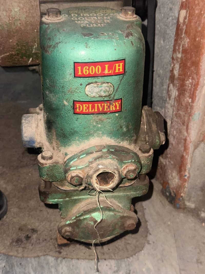 Donkey Motor pump 5
