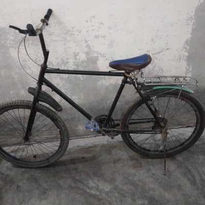 phoenix cycle