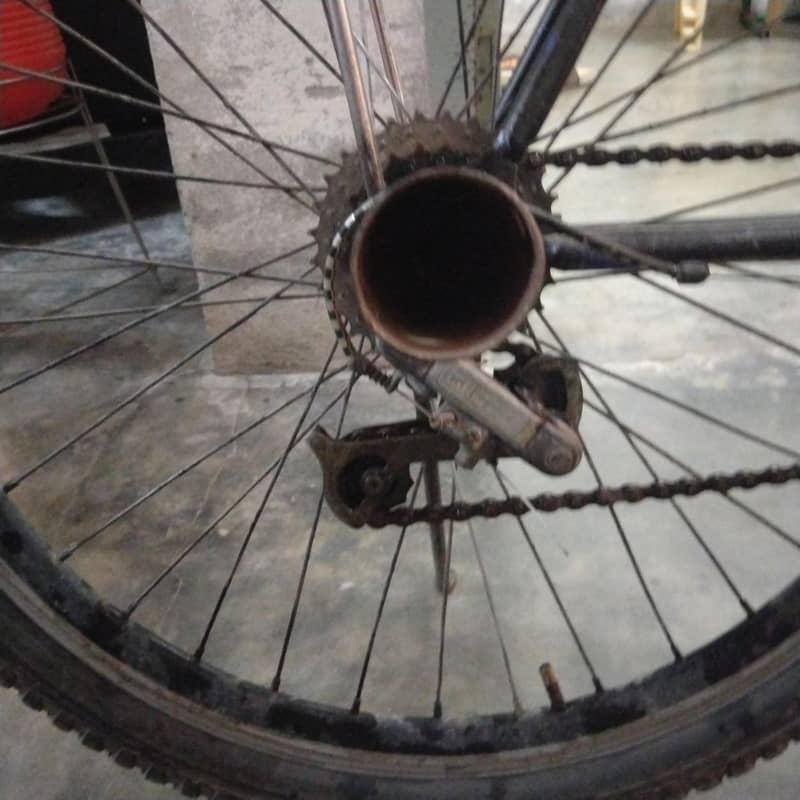 phoenix cycle 2