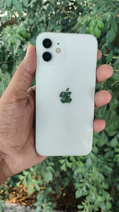 Apple iPhone 12 128gb Pta