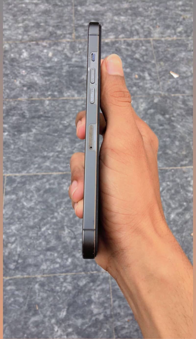 iPhone 12 Pro Max 0
