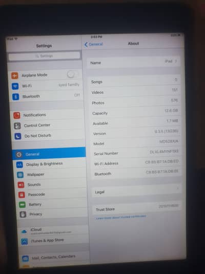 i pad Mini 2