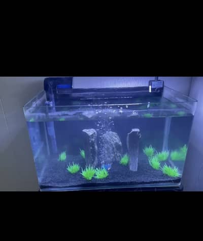 Aquarium