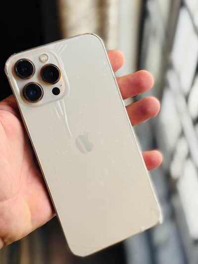 Apple iPhone 13 Pro Max