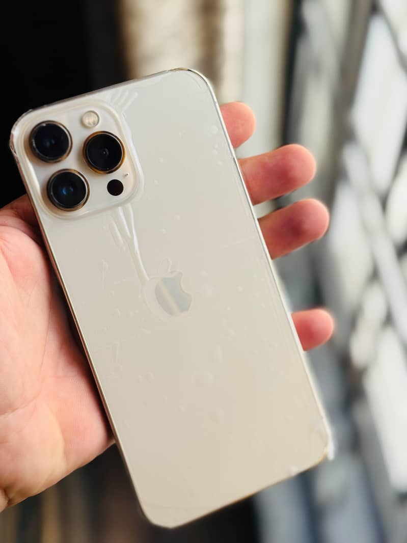 Apple iPhone 13 Pro Max 0