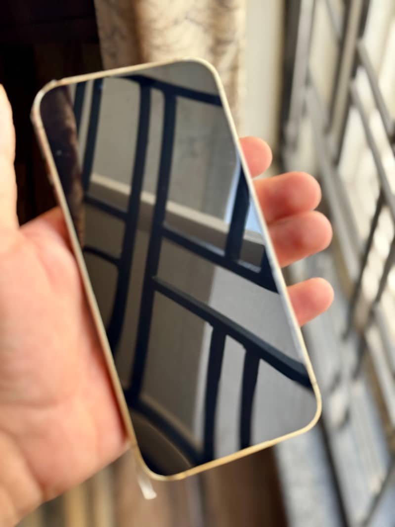 Apple iPhone 13 Pro Max 1