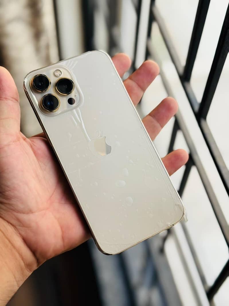 Apple iPhone 13 Pro Max 3