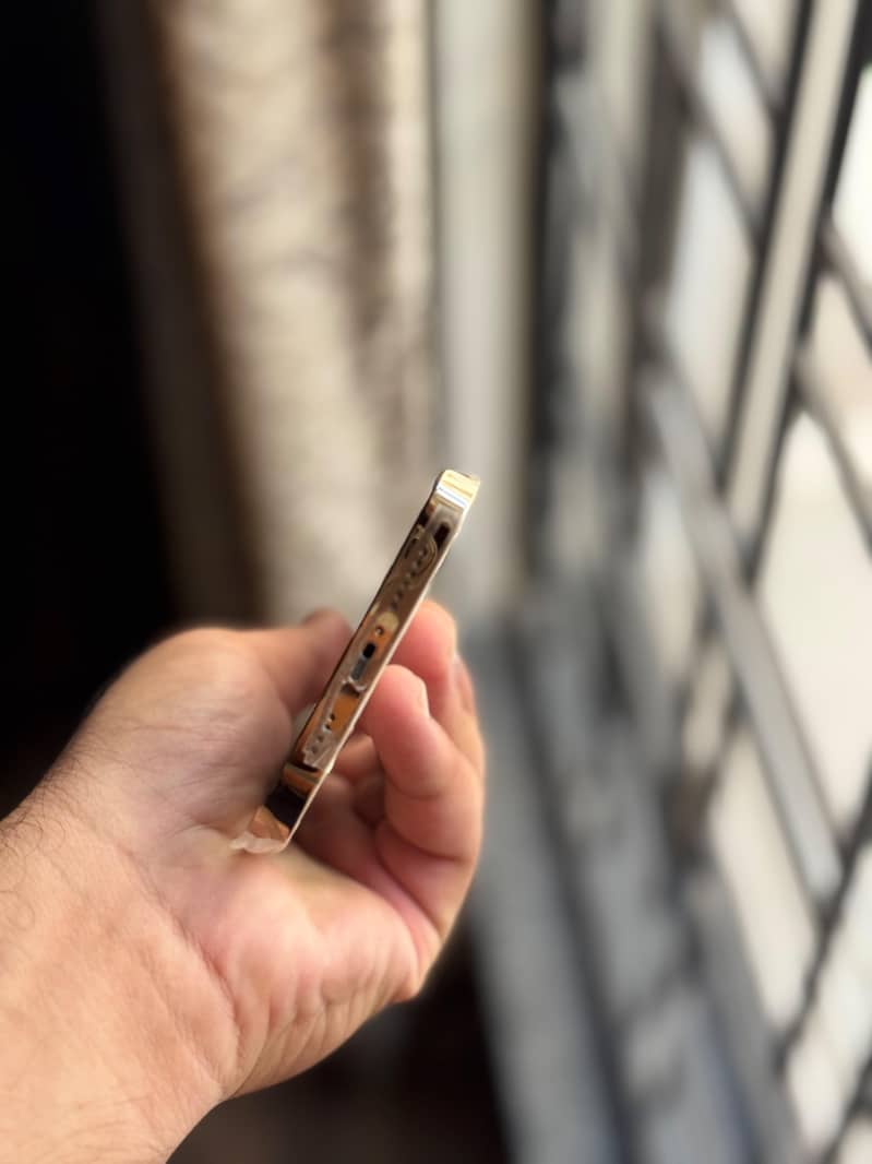 Apple iPhone 13 Pro Max 10