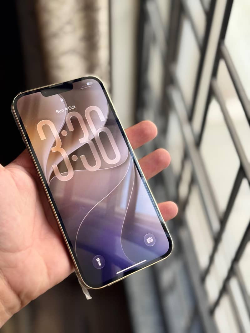 Apple iPhone 13 Pro Max 13