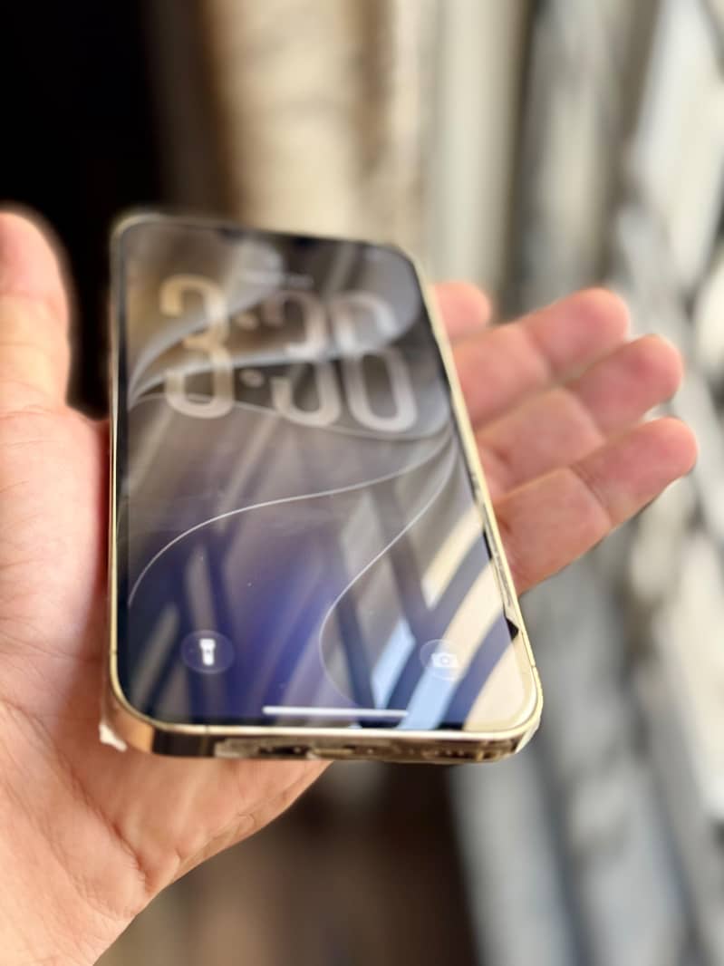 Apple iPhone 13 Pro Max 14