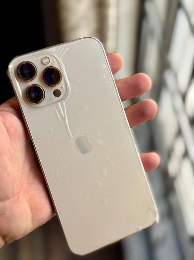 Apple iPhone 13 Pro Max 15