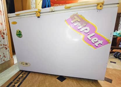 Used Deep Freezer--Good Condition