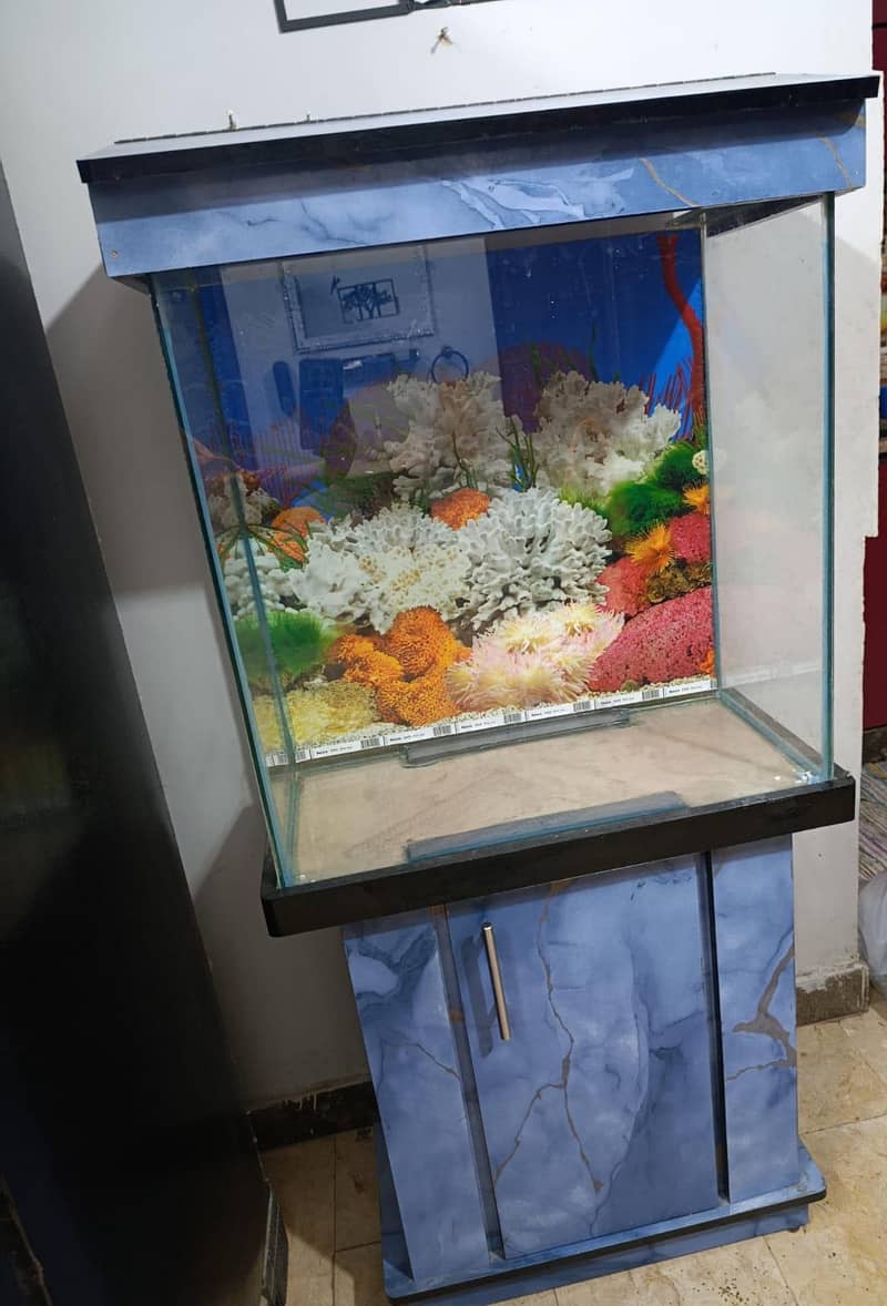 aquarium 7