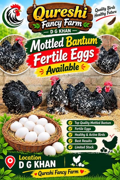|fertile eggs| available|