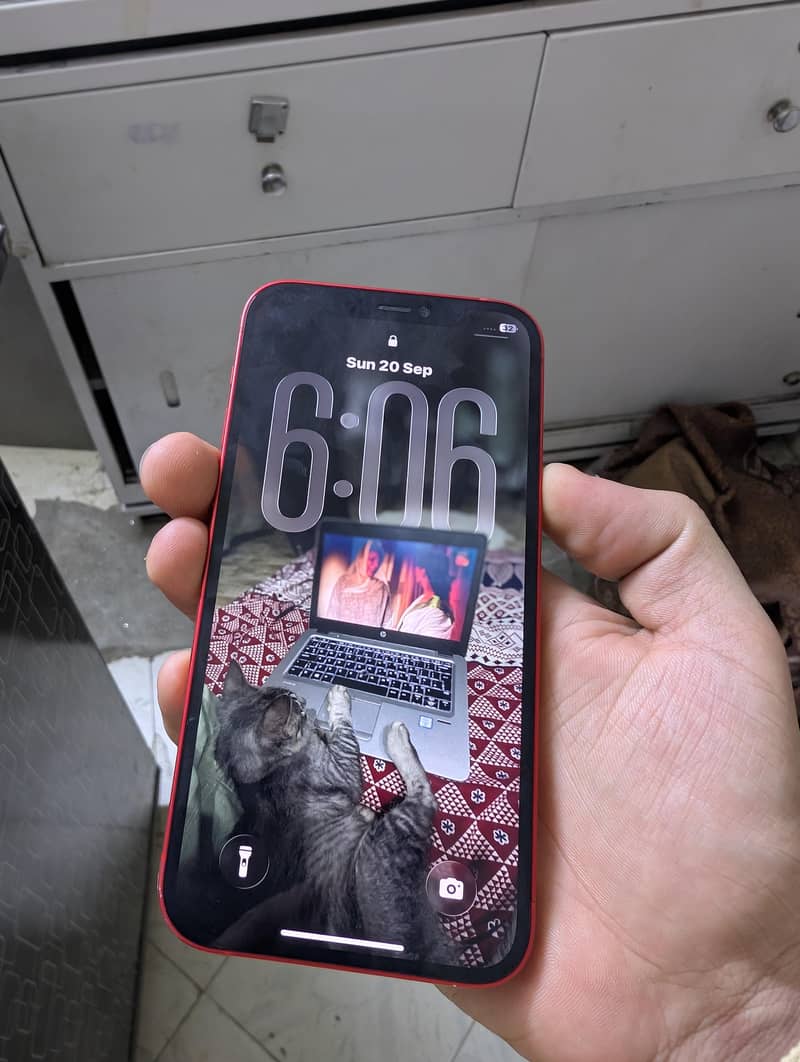 Apple iPhone 12 1