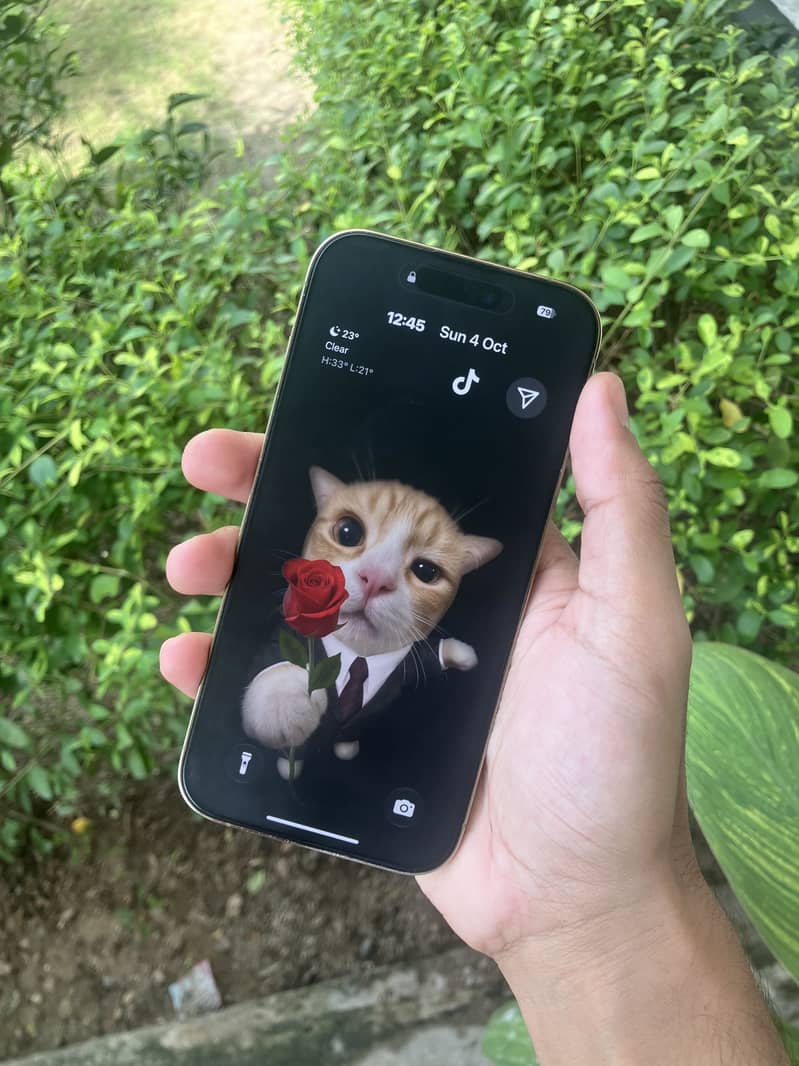 Apple iPhone 14 Pro 2