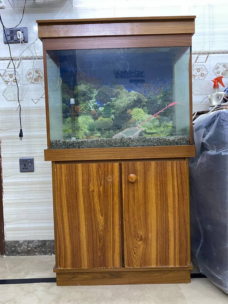Fish Equarium 0