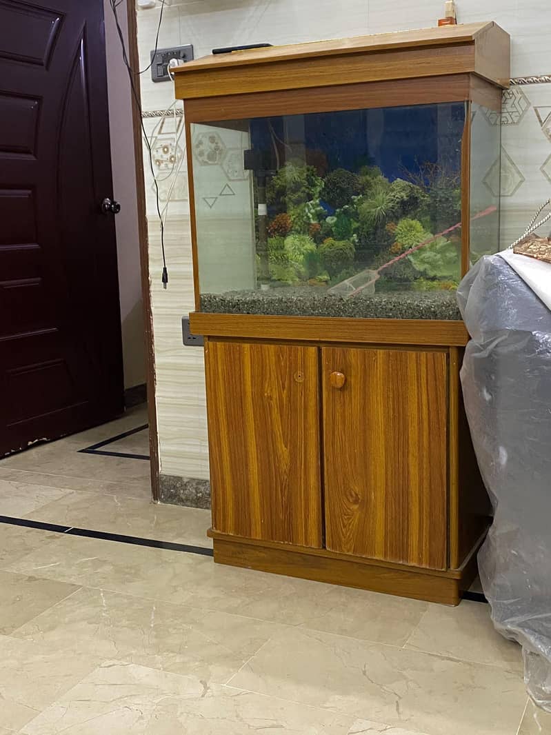 Fish Equarium 2
