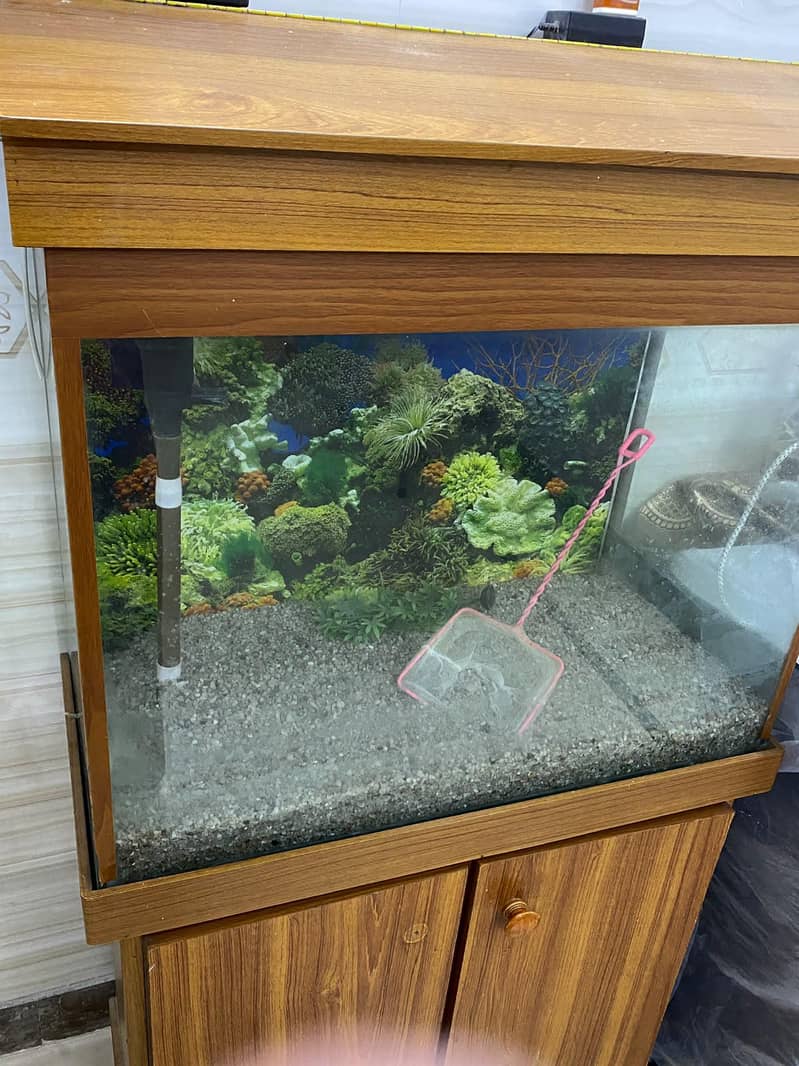 Fish Equarium 3