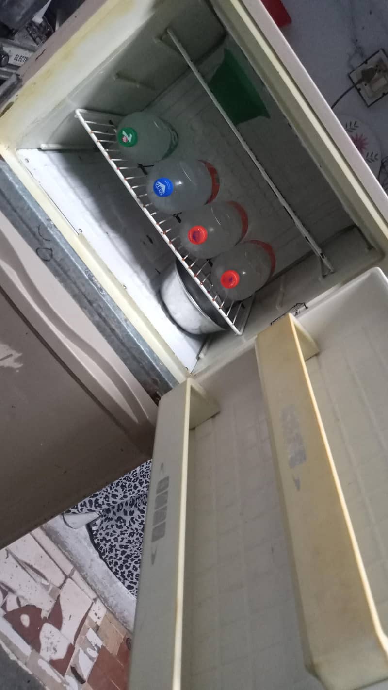 Freezer 1