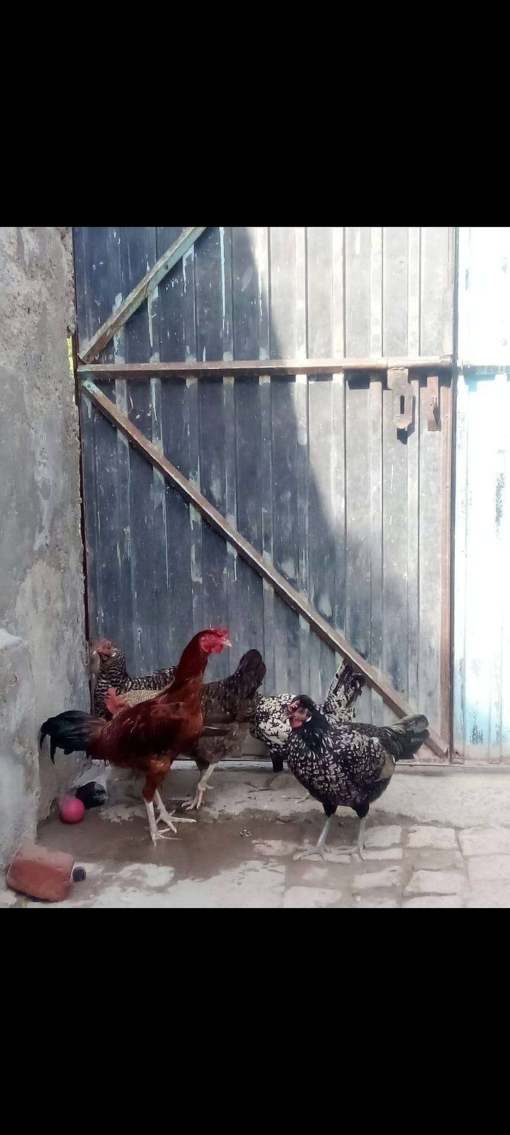 03350798193 0