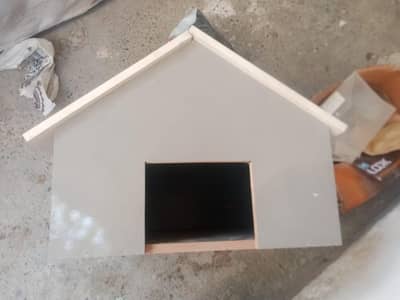 Cats house