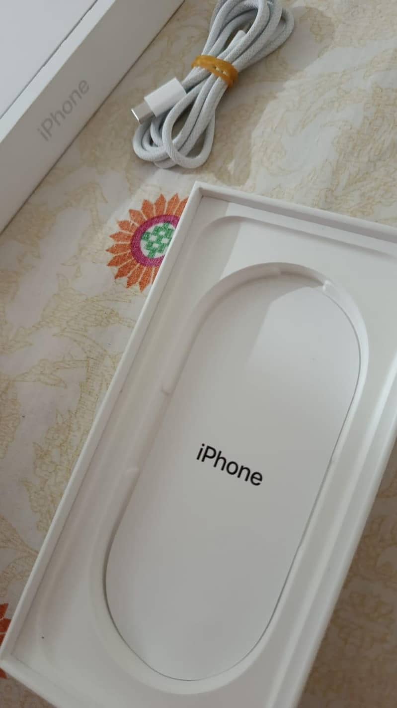 Apple iPhone 17 1