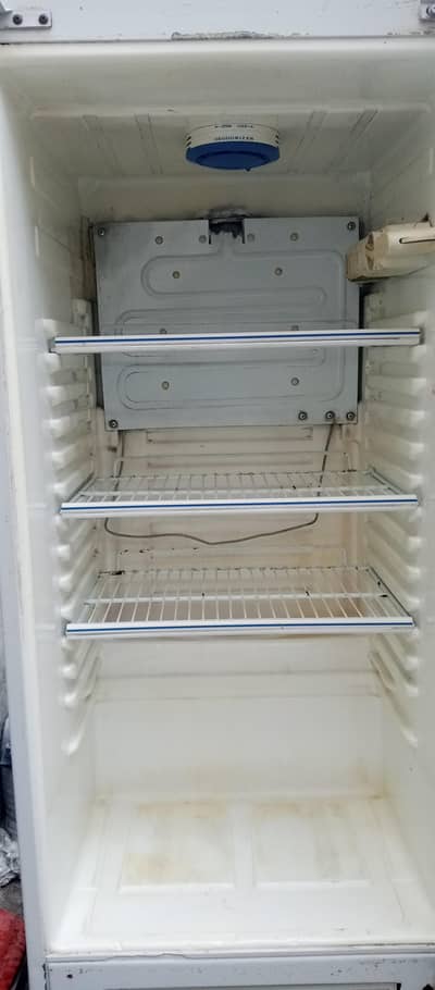fridge
