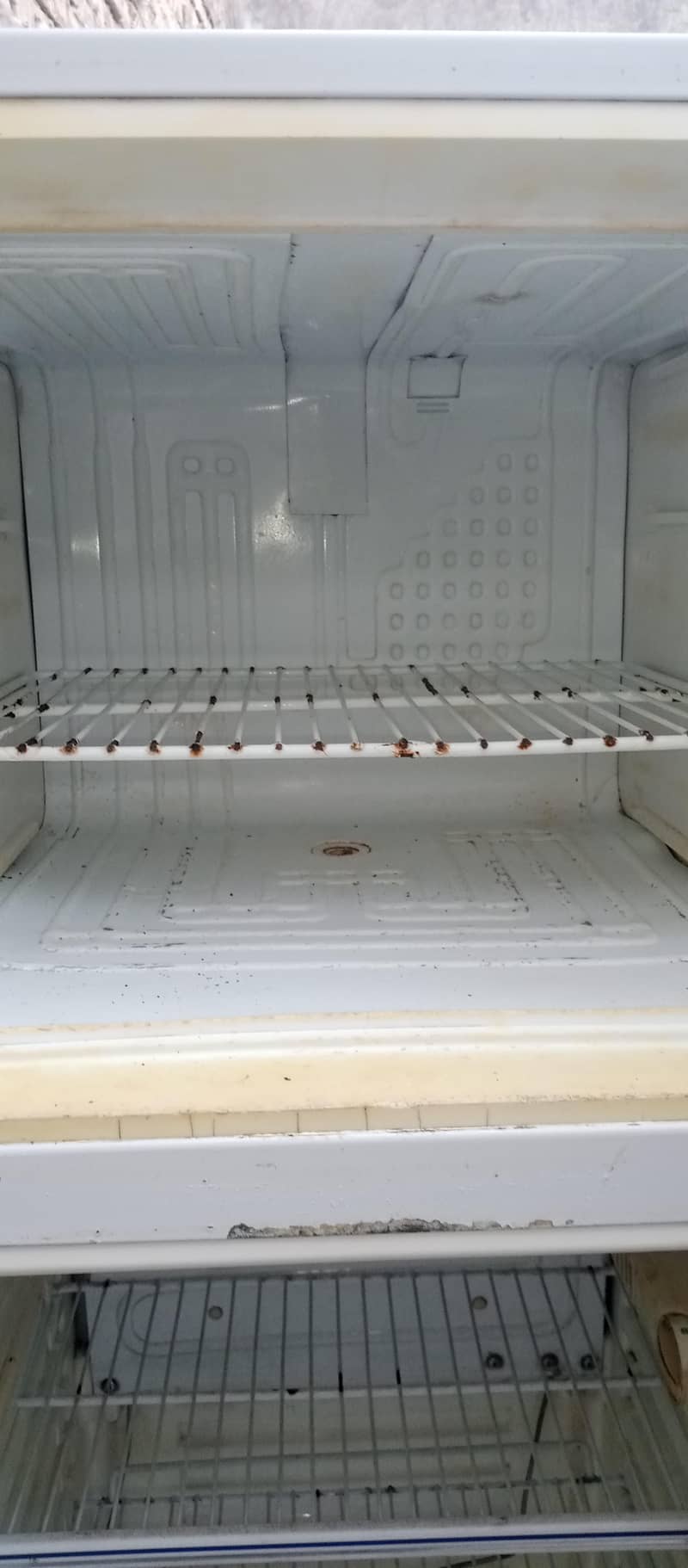 fridge 3
