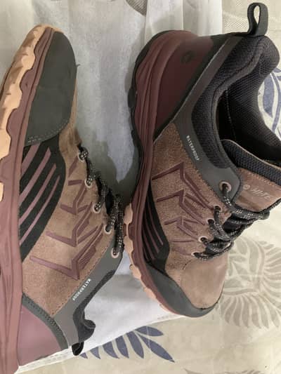 New branded shoes( Hi-tech