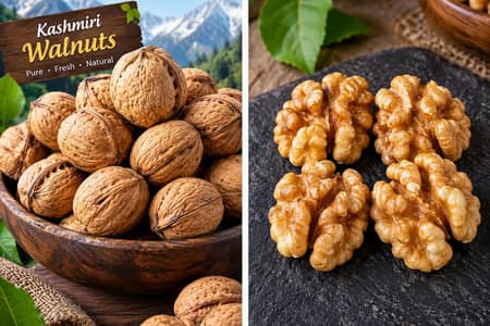 Premium Kashmiri Walnuts – Fresh & Quality – Rs. 1,200/KG