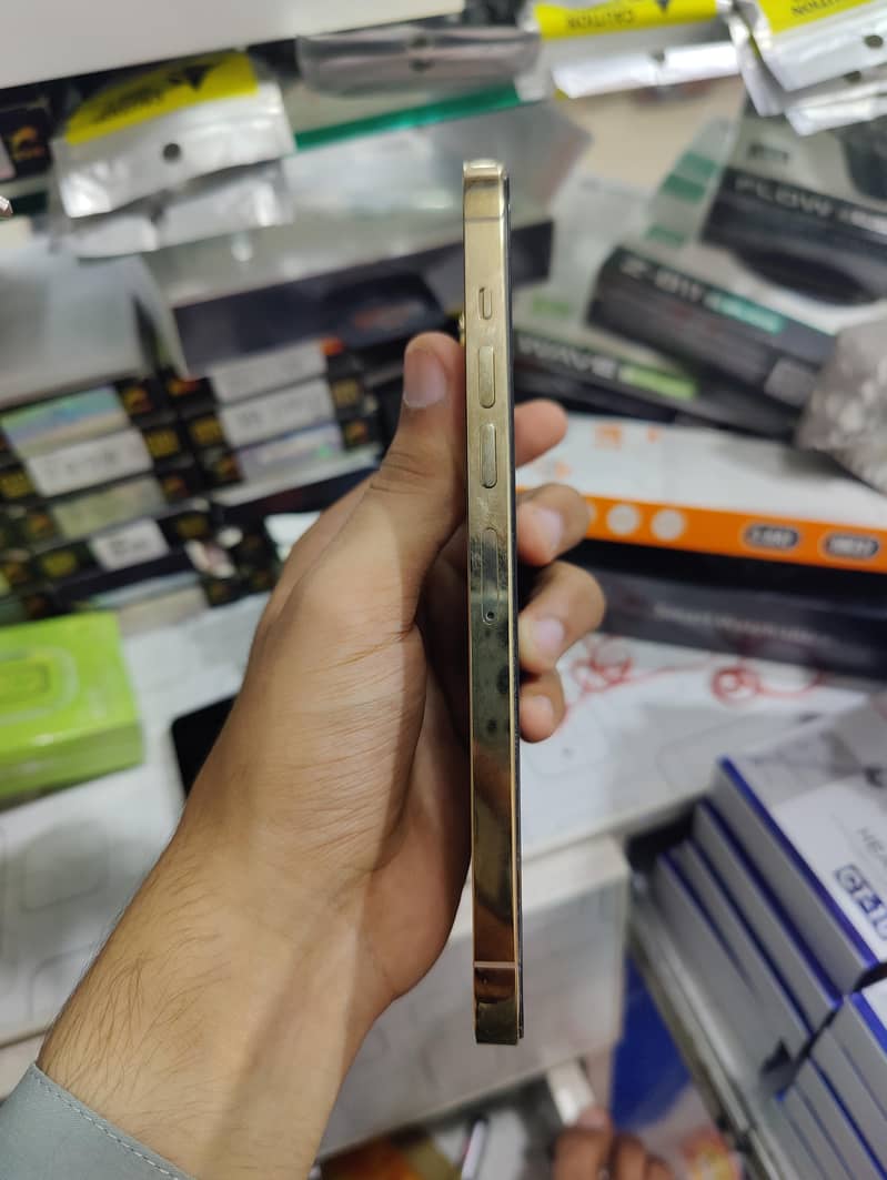 Apple iPhone 13 Pro Max 1